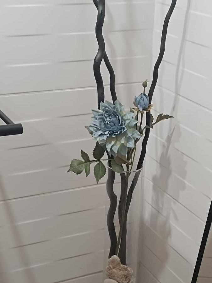 Apartament Anfiteatre Roma 타라고나 외부 사진